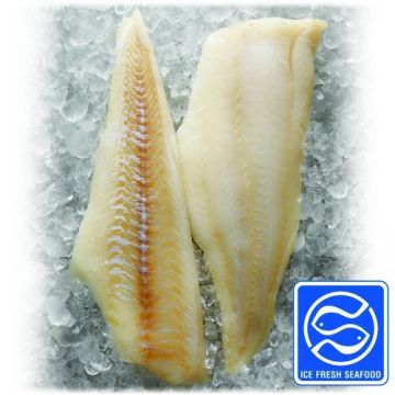 Cod Skinless / Boneless (FK93I)