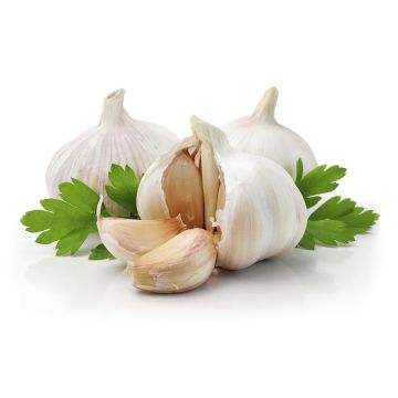 Garlic Mix with Parsley